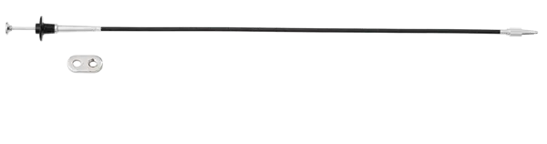 82738-04_0_21jza295_202103_fs_1_s_psd